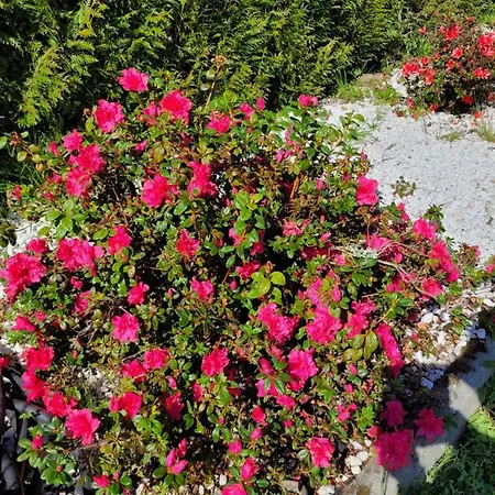 Casa Tarrio Con Piscina - Santiago De Compostela