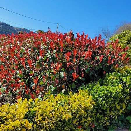 Casa Tarrio Con Piscina - Santiago De Compostela *