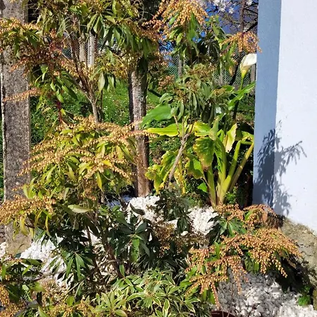 Casa Tarrio Con Piscina - Santiago De Compostela Holiday home *