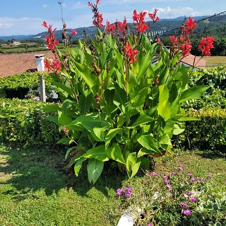 Casa Tarrio Con Piscina - Santiago De Compostela *