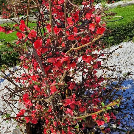 Casa Tarrio Con Piscina - Santiago De Compostela *
