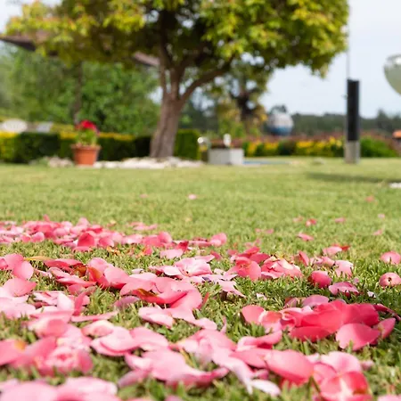 Casa Tarrio Con Piscina - Santiago De Compostela Holiday home