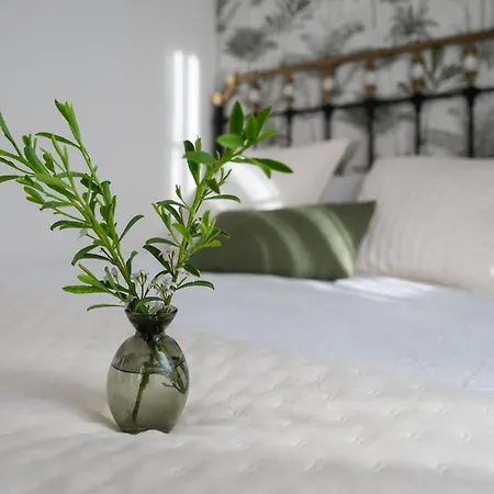 Casa Tarrio Con Piscina - Santiago De Compostela Boqueixon