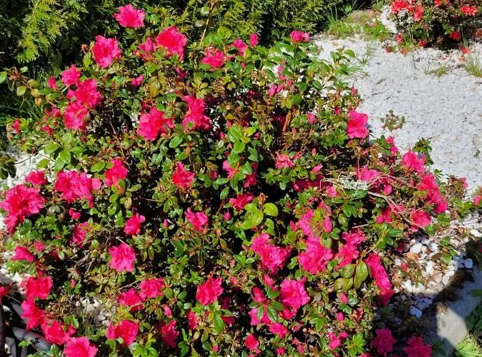 Casa Tarrio Con Piscina - Santiago De Compostela