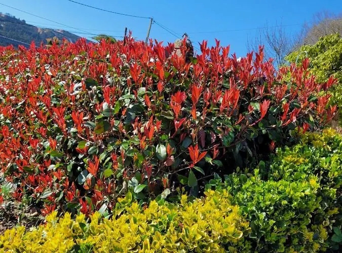 Casa Tarrio Con Piscina - Santiago De Compostela *