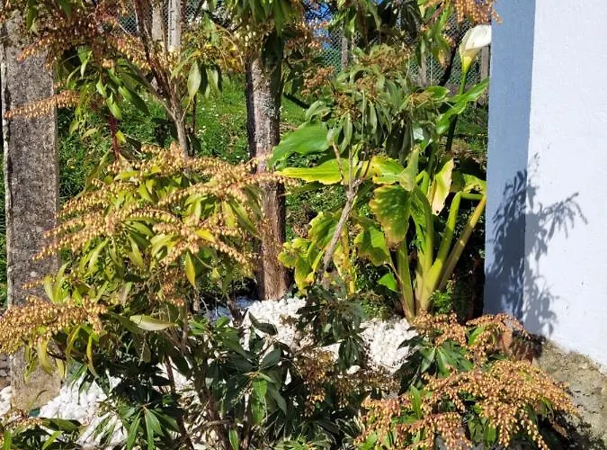 Casa Tarrio Con Piscina - Santiago De Compostela 別荘 *