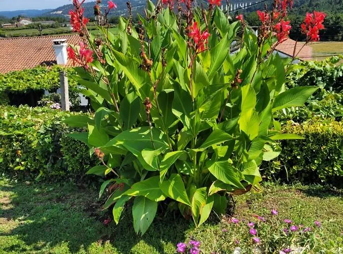 Casa Tarrio Con Piscina - Santiago De Compostela *