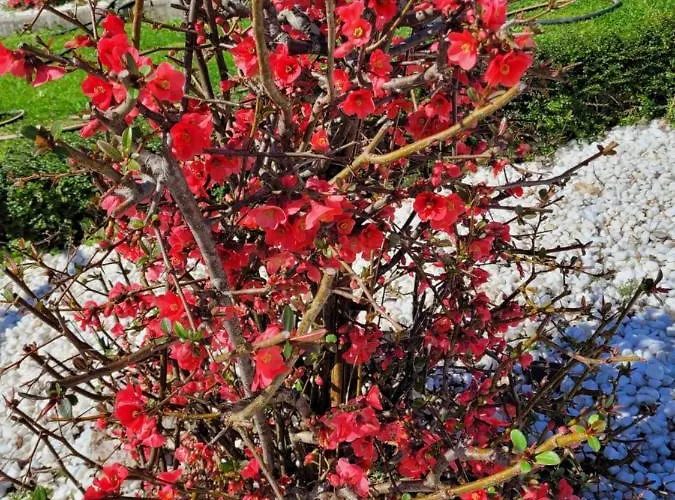 Casa Tarrio Con Piscina - Santiago De Compostela *